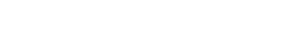 Vera Connect Group